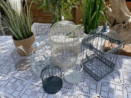 location cage à oiseaux